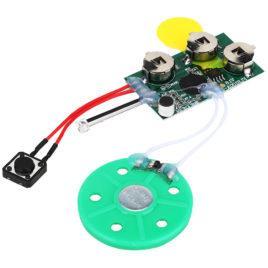 Rec 120 Sec Recordable Voice Module for Greeting Card