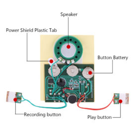 30 Second Recordable Sound Module for Crafts