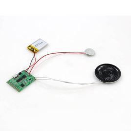 USB Recordable Sound Module with Magnet Switch for Christmas
