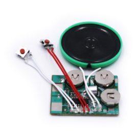 Push Button Recordable Sound Modules for Sale