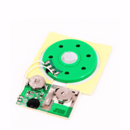 Self-adhesive Backing Sound Module with Slide Tongue Switch